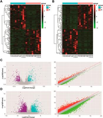 An integrative analysis of an lncRNA–mRNA competing endogenous RNA network to identify functional lncRNAs in uterine leiomyomas with RNA sequencing